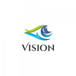 Vision
