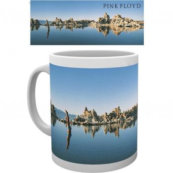 Rosa Floyd buceo hombre taza