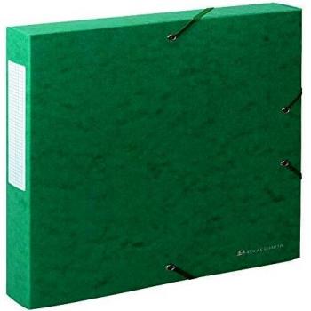 Exacompta 50813E - Carpeta de proyecto con goma, color verde