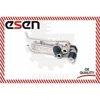 SKV ESEN 14SKV095 - Válvula AGR