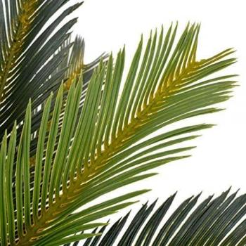 Artificial Plant Cycas Palm with Pot Green 90 cm