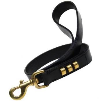 Correa para Perro Gloria Duna 2,5 x 60 cm Negro