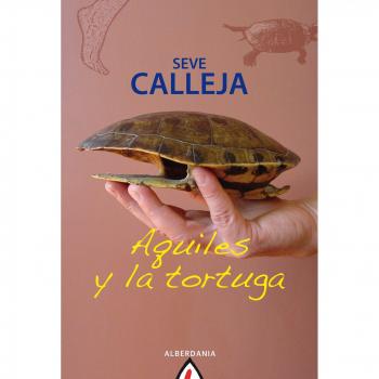 Aquiles y la tortuga: 21