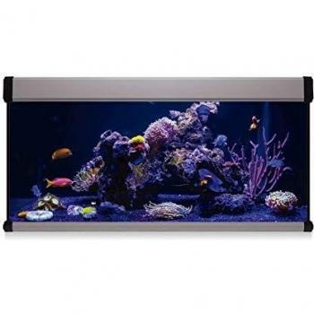ICA KXM168P Kit Aqua Lux Pro 168 con Filtro Interior, Plata