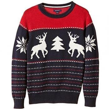 GANT D, COTTON REINDEER CREWNECK-Jersey Niños,  
 azul