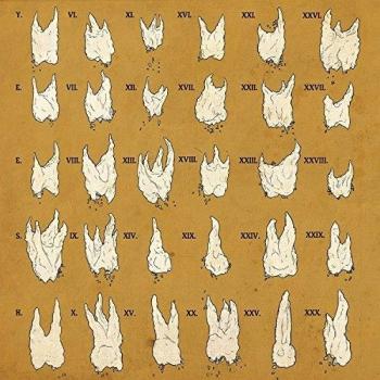 Confirmation Bias [VINYL]
