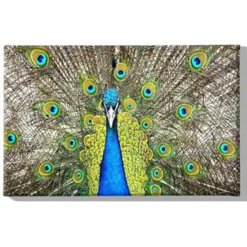 Impresión sobre Lienzo Pavo Real Multicolor 70x3x45 cm - Epikasa, Poliéster y Madera
