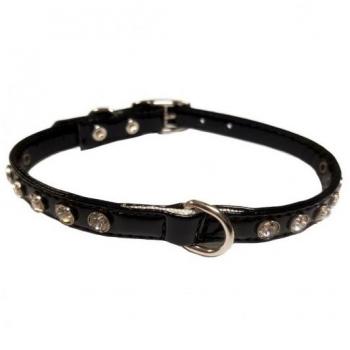 Collar Shiny (10x300mm) Negro - Razas Pequeñas