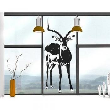 Apalis Vinilo de Ventana No.TA13 Gazelle, Colore:Bianco;Dimensione:337cm x 144cm