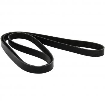 Dayco 6PK1980 Correa Trapecial Poli V