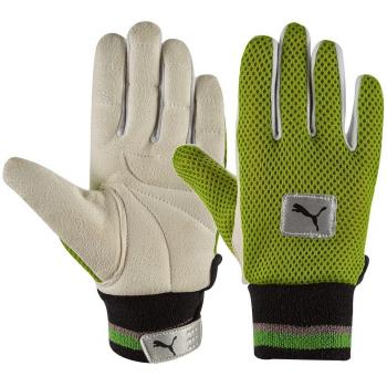 Puma mitad Chamois Wicket Keeping interior – Natural/verde gecko – nuevo para 2017, beige