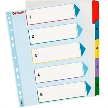 Esselte Índices Proyectos Borra y Reescribe, Tamaño A4 maxi, 5 pestañas, Multicolor, 100207