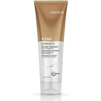 Joico K-Pak Intense Hydrator Treatment for Dry Damaged Hair 250ml