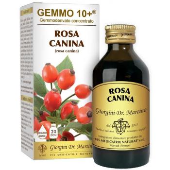 Rosa Mosqueta Líquido Analgésico Gemmoderivado 10+