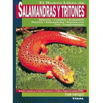 Salamandras Y Tritones