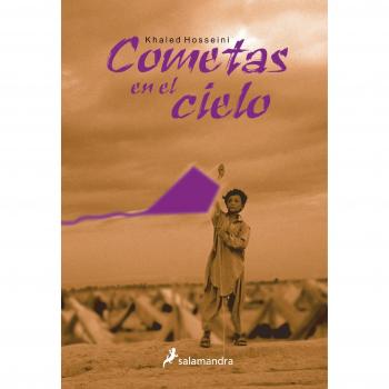Cometas en el cielo