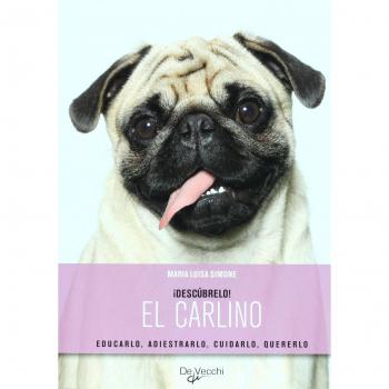 Carlino, el