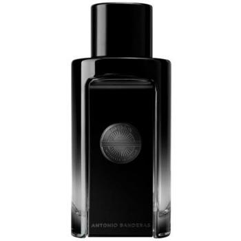 The Icon by Antonio Banderas Eau de Perfume for Men 100ml