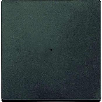 Merten 625114 Interruptor