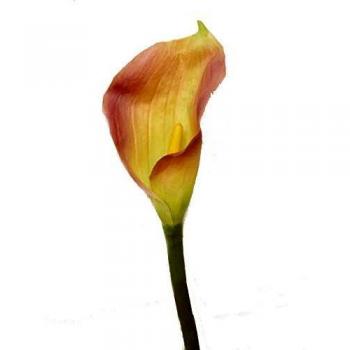 ARTIFICIAL FLOR INDIVIDUAL CALA LILY VIOLETA
