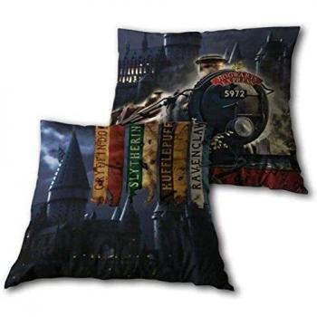 Harry Potter Cojin express hogwarts