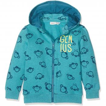 NAME IT Nitfenkey Swe Card W/Det. Hood Bru Mini, Sudadera para Bebés