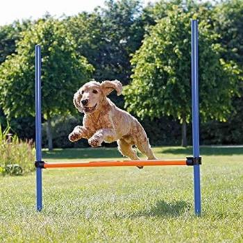 Trixie Dog Activity Agility Hurdle, 123 ﾗ 115 ﾗ 3 cm, Orange/ Blue