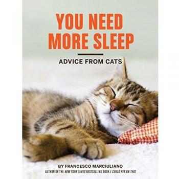 You Need More Sleep: Advice from Cats