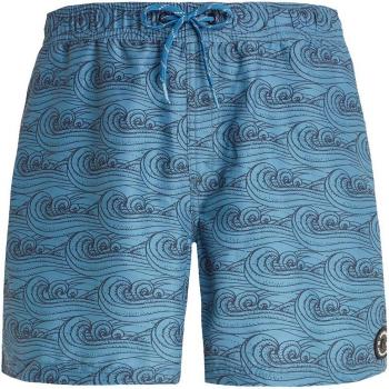 Bañador de Hombre Protest Prtterton Terton - Corto, diseño moderno, tejido ligero, secado rápido, ajuste cómodo