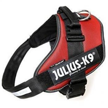 Julius-K9 16IDC-BOR-3 IDC Power Harness, Tamaño 3, Burdeos Marrón, Bordeaux-Brown, 3