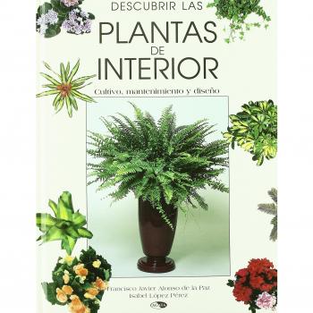 Descubrir las plantas de interior