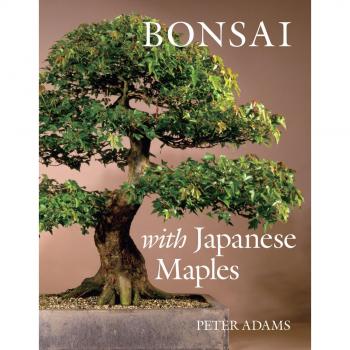 Bonsai with Japanese Maples