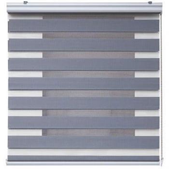 Estor Enrollable Noche y Día Plus con Acabados de Aluminio Premium, Doble Tejido para Ventanas y Puertas, Alta Calidad, Color Plata, 200 cm x 250 cm