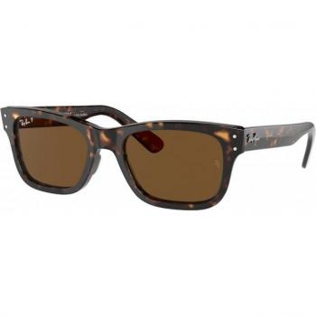 Gafas de Sol Ray-Ban Mr Burbank RB2283/902-57