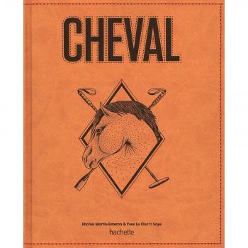 Gran Libro Hachette del Caballo - Michel Martin-Sisteron y Yves Le Floc'h Soye