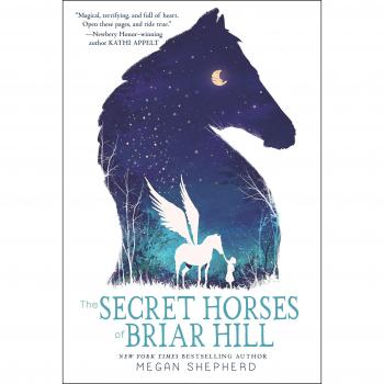 Secret Horses Of Briar Hill