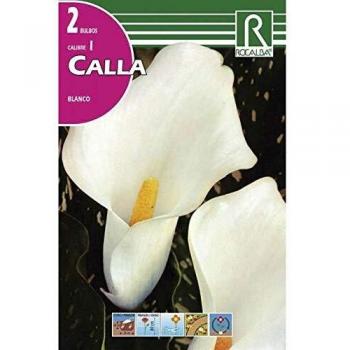 Bulbo calla blanca Rocalba
