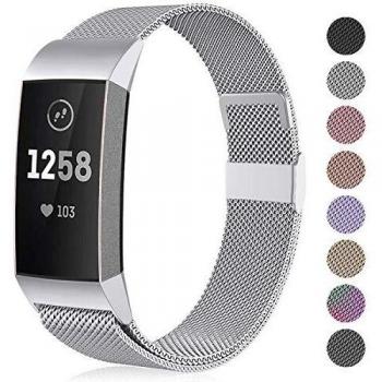 Funbiz Compatible con Fitbit Charge 3 Correa/Fitbit Charge 4 Correa, Banda de Reemplazo Ajustable Acero Inoxidable Correas para Fitbit Charge3/Charge 4/Charge 3 SE, Grande Plata