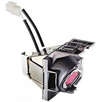 Viewsonic RLC-117 lámpara de proyección - Lámpara para proyector