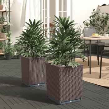 vidaXL Brown Polypropylene Planters 2 pcs 30x30x37 cm
