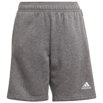 Short adidas Tiro 21 Junior Gris