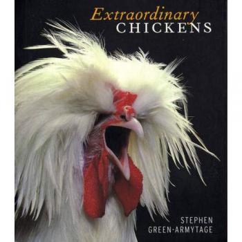 Extraordinary Chickens