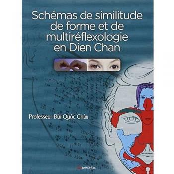 Dien Chan Self-Healing and Multireflexology Shape Similarity Schemes