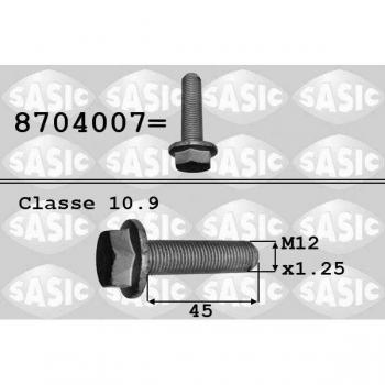 Tornillo de polea SASIC 8704007 para vehículos RENAULT: Clio, Trafic, Kangoo, Mégane Scénic, Laguna, Mégane, Express, R19, Thalia, Extra,