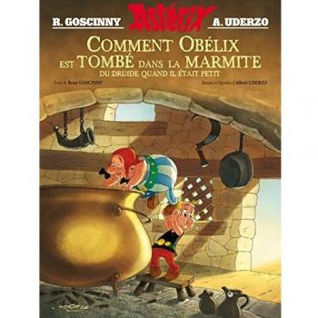 Comment Obelix est tombe dans la marmite du druide...