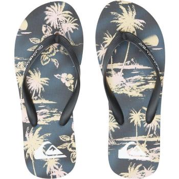 Quiksilver Chanclas MOLOKAI AIR FLOW para hombre