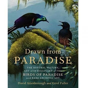 Drawn from Paradise: The Natural History, Art and Discovery of the Birds of Paradise with Rare Archival Art