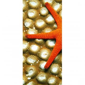 peelitstickit id-107 60 ancho x 130 cm de altura Underwater vinilo de alta calidad pared mural