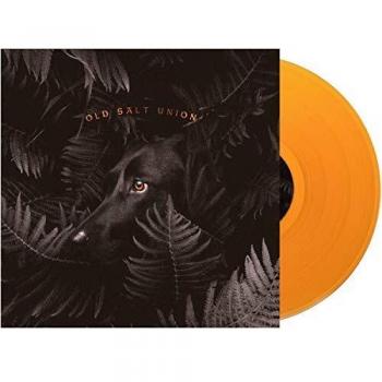 Where the dogs dont bite vinilo