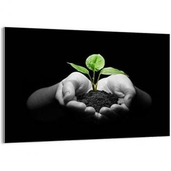 Cuadro sobre vidrio - Impresiones sobre Vidrio - Naturaleza planta ciencia protección - 100x70cm - Decoracion de Pared - Impresión en Vidrio - Cuadro en vidrio - Cuadro de Cristal - GAA100x70-2188